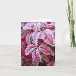 Carte Tu fais fondre le gel, salut