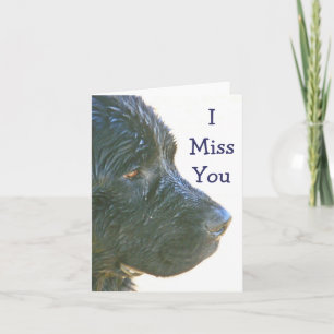 Carte "Tu me manque" beau, Triste-regardant le chien de
