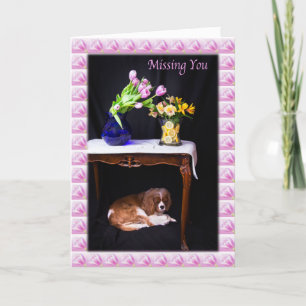 Carte Tu me manques Cavalier King Charles avec des fleur