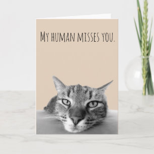 Carte Tu Me Manques Chat Drôle