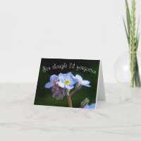 tu pensais que j'avais oublié ?