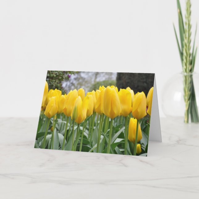 Carte Tulières à ressort jaune (Devant)