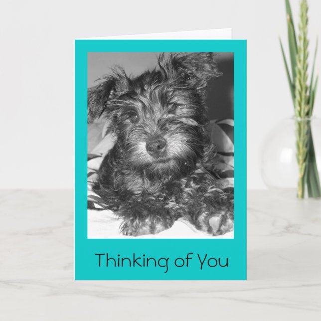 Carte Tulio (Devant)