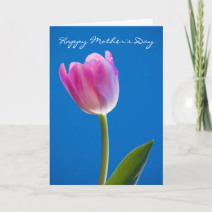 Carte Tulip, Bonne fête des mères