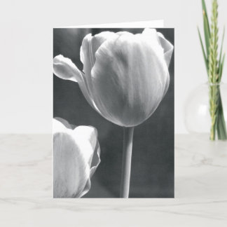 Carte Tulipe en noir et blanc