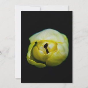 Carte Tulipe fermée