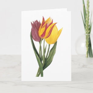 Carte tulipe (gesneriana de Tulipa) par Redouté