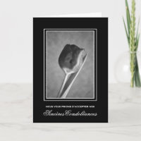 Tulipe noire et blanche classique de sympathie