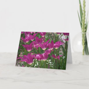 Carte Tulipe pourpre
