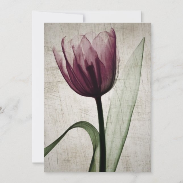 Carte Tulipe vintage X-Ray (Devant)