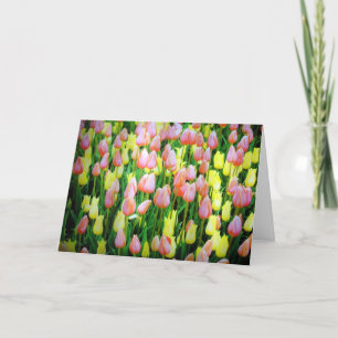 Carte tulipes