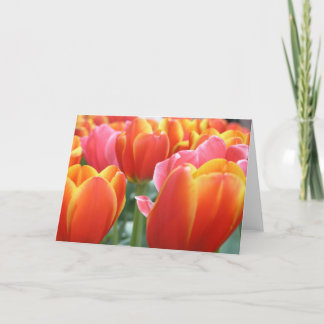 Carte Tulipes