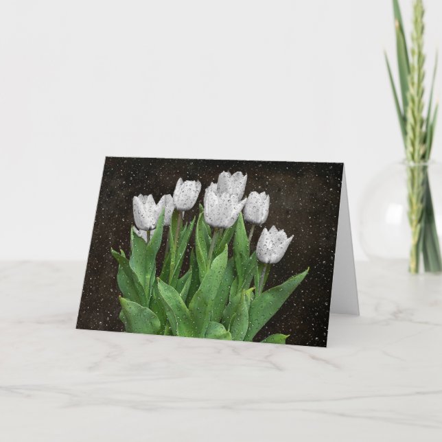 Carte Tulipes blanches avec Raindrops Sympathie (Devant)