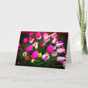 Carte Tulipes Christmas Dream et Affaire #1