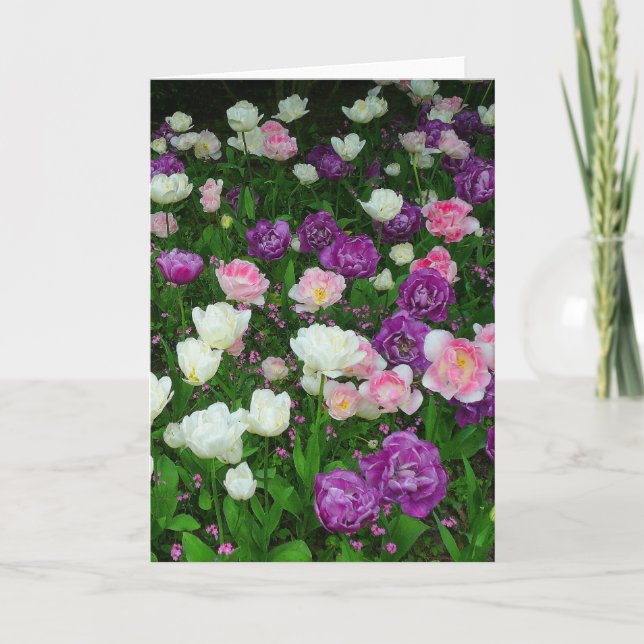 Carte Tulipes colorées (Devant)