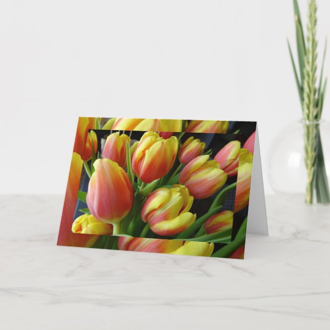 Carte Tulipes de printemps (Devant)