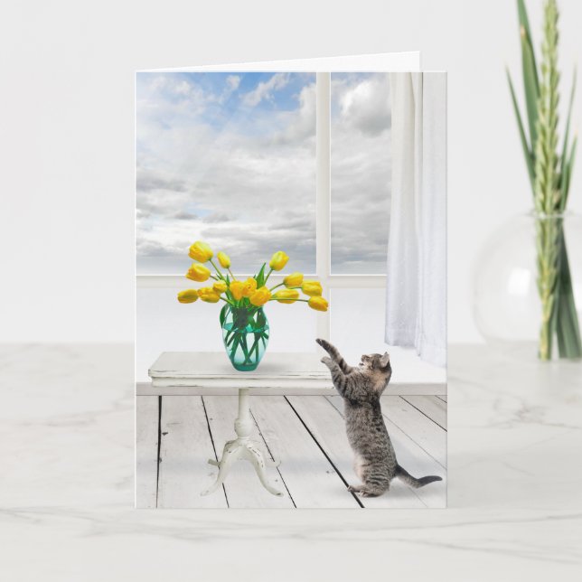 Carte Tulipes jaunes et chats (Devant)