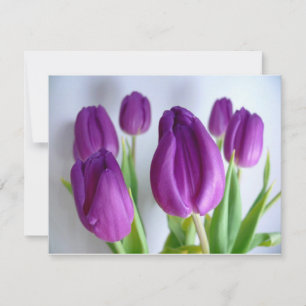 Carte Tulipes pourpres
