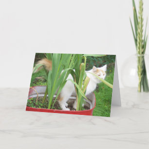 CARTE TURKISH VAN DIT **JEUX ANNIVERSAIRE D'AVRIL**