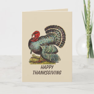 Carte Turquie vintage