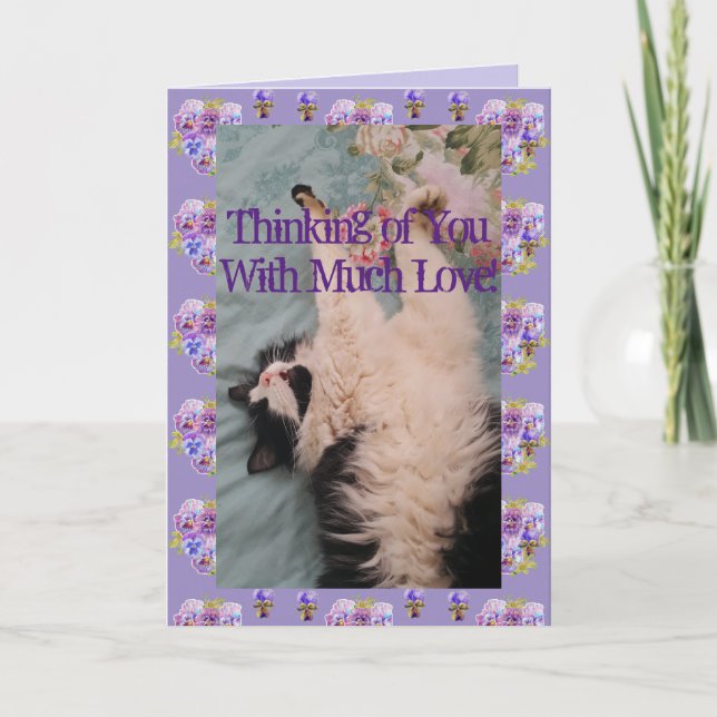 Carte Tuxedo Cat Cute Drôle Citation Avec Beaucoup De Ca (Devant)