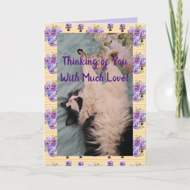 Carte Tuxedo Cat Cute Drôle Citation Avec Beaucoup De Ca (Devant)