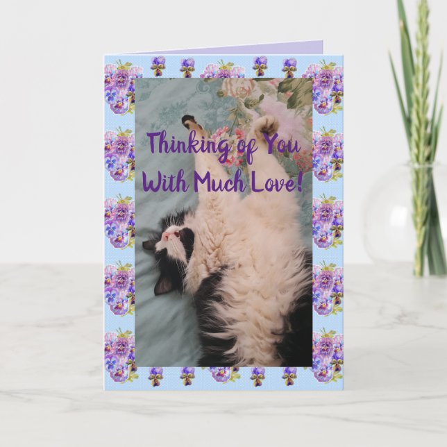 Carte Tuxedo Cat Cute Drôle Citation Avec Beaucoup De Ca (Devant)