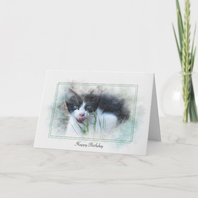 Carte Tuxedo kitten anniversaire humoristique (Devant)