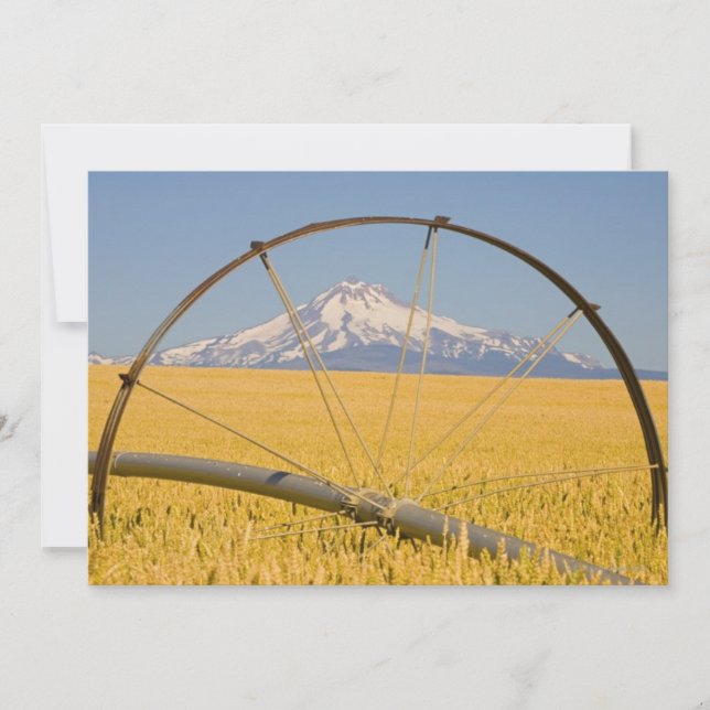 Carte Tuyau d'irrigation en champ (Devant)