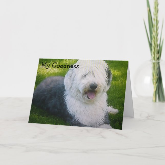 CARTE "TWEET ME QUELQUE TEMPS" SOUHAITE L'ANNIVERSAIRE (Devant)