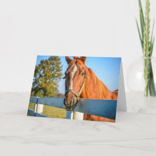 Carte Twilight Rose Cheval de course Pur-sang