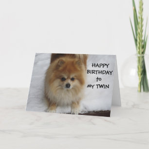 CARTE "TWIN" HEUREUX ANNIVERSAIRE DIT LE POMERANIEN