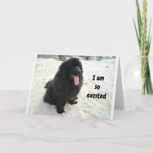 CARTE TWIN J'AIME PARTAGER MON ANNIVERSAIRE AVEC "VOUS"