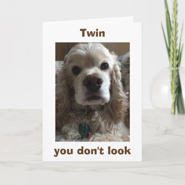 CARTE TWIN-VOUS NE REGARDEZ PAS UN JOUR D'ANNIVERSAIRE " (Devant)