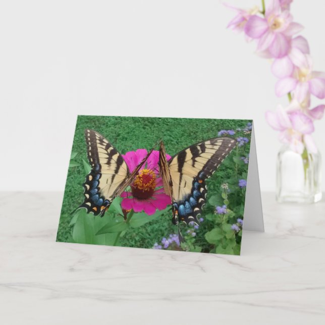 Carte Two Butterflies Sharing a Pink Zinnia, Blank (Orchidée)