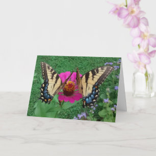 Carte Two Butterflies Sharing a Pink Zinnia, Blank