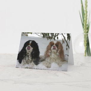 Carte Two Cavaliers dans le Snow 08-01a