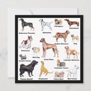 Carte Types de chiens