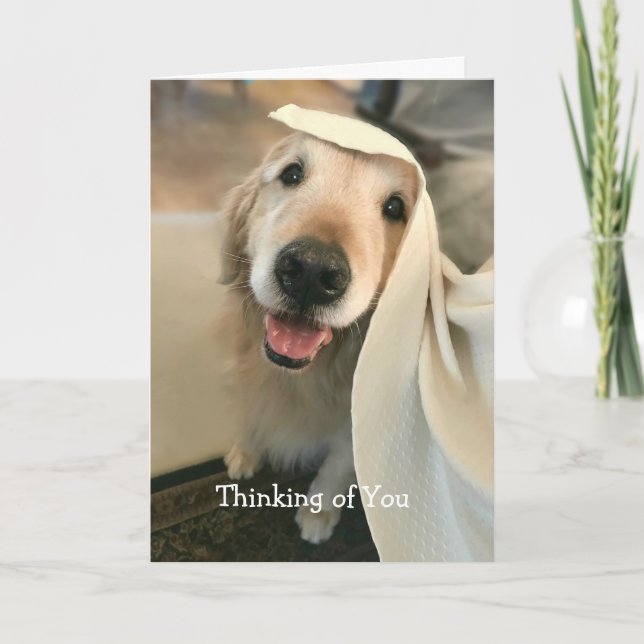 Carte Un adorable chien d'or qui se penche sur vous (Devant)