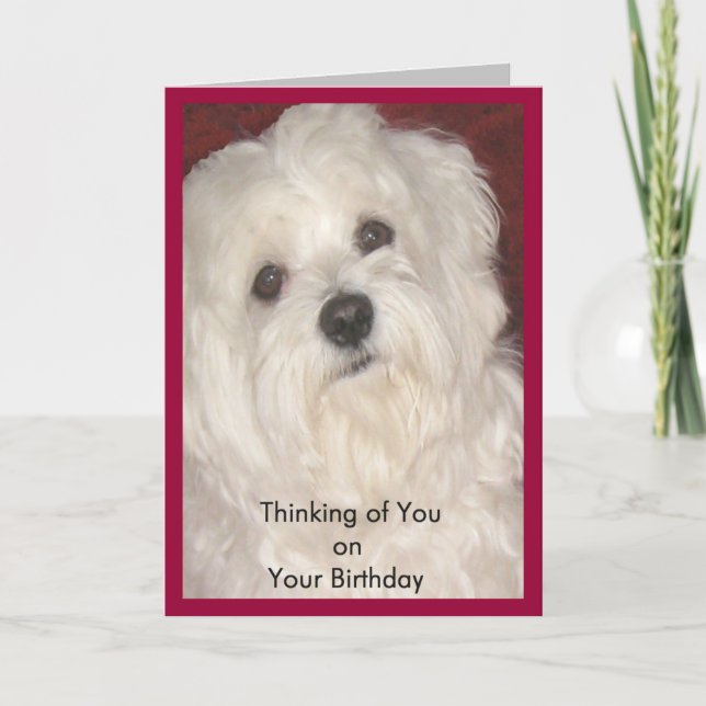 Carte Un anniversaire maltais pour tous (Devant)