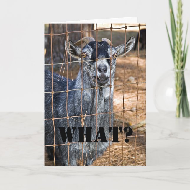 Carte Un autre anniversaire ? (Devant)