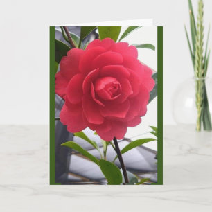 CARTE UN "BEAU" ROSE POUR "BEAU" YOU