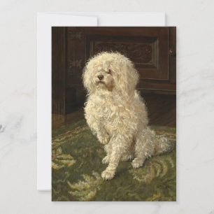 Carte Un caniche sur une moquette verte   George L. Harr