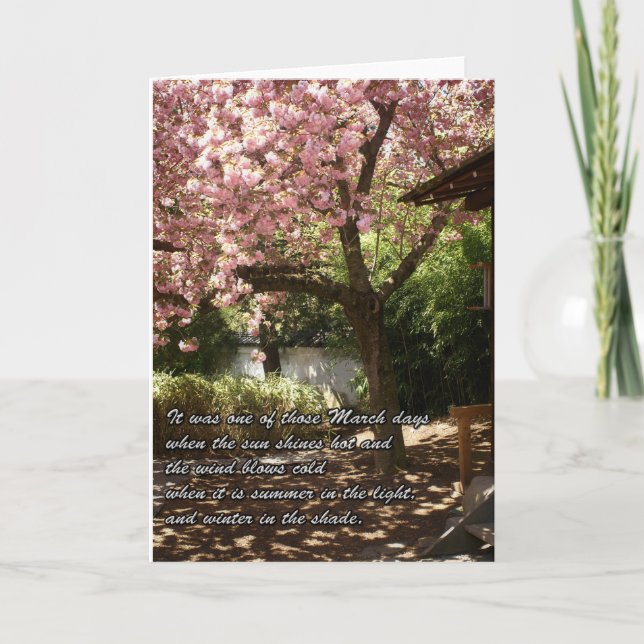 Carte Un cerisier inspirant en fleurs (Devant)