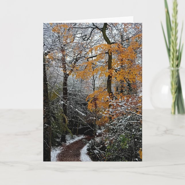 Carte Un chemin à travers les arbres (Devant)