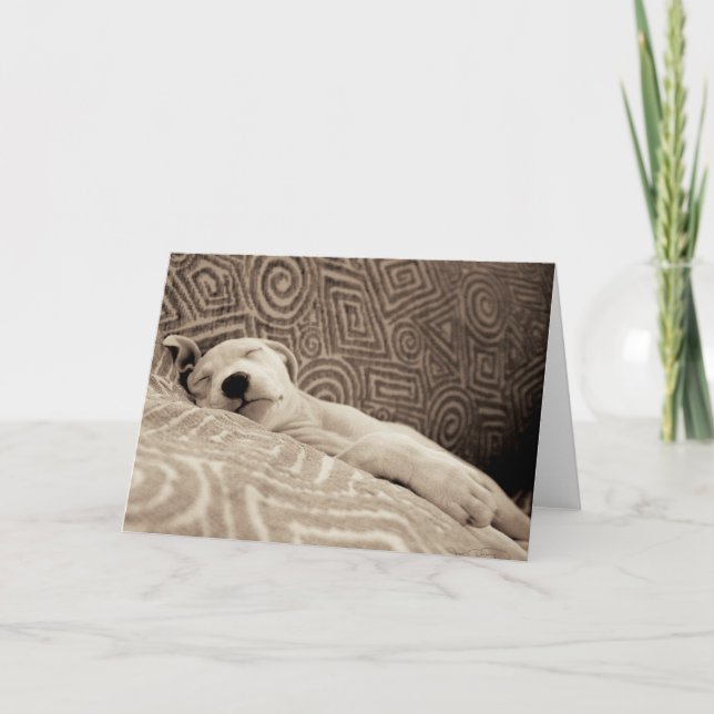 Carte Un chien fatigué (Devant)