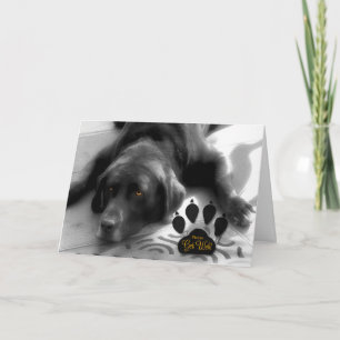 Carte Un chien mignon qui va bien pour l'amoureux des an