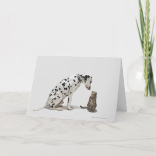 Carte Un chien regarde un chat