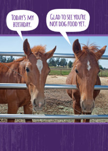 Invitations Faire Part Cartes Cheval Anniversaire Drole Zazzle Ch Invitations Faire Part Cartes Cheval Anniversaire Drole Zazzle Ch