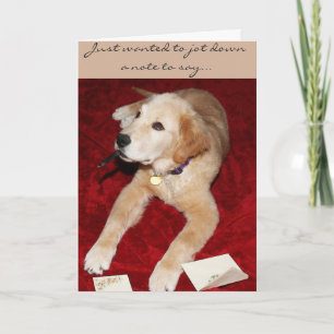 Carte Un Golden Écrivant Un Note Dit Désolant